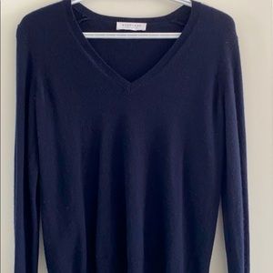 Everlane V-neck cashmere sweater